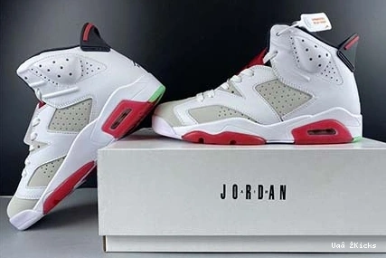 Jordan 6 CT8529-062 Air “Hare” Minimalist 675 0918